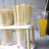 Wheat Drinking Straw: an alternative to plastic straw